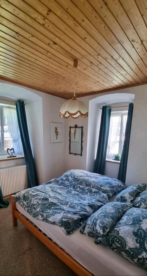 Turmhaus Trieben Wohnung 1 מראה חיצוני תמונה